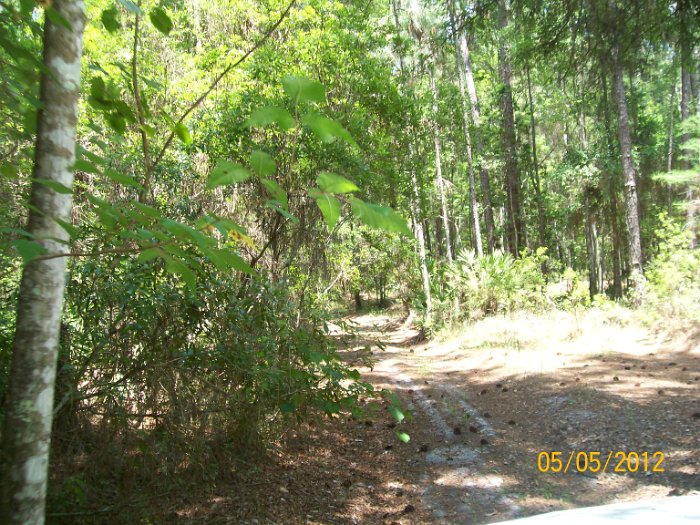 2012-May-05_HGR4X4_Richloam 285